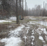 img - ЛДПР