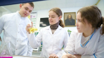 Ивановские ученые создают эффективный способ лечения аутоиммунных заболеваний с помощью гидрогелей