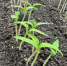 You are viewing the image with filename 5vlH7T6TEPogdNS7ZtwFV1AlZaCwBs4Y5IaCfa8wZMt5uKMN2bThy6TGHvSU4ZKr7vbngePv1DVTldE6y0EQDQTi.jpg - Ивановский политех