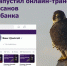 Уралсиб запустил онлайн-трансляцию жизни сапсанов на крыше банка - Сетевое издание Ивановские новости