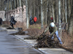 В Иванове прошел общегородской субботник