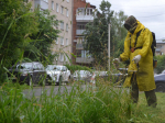 В Иванове продолжается выкашивание газонов
