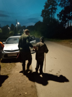 Заблудившуюся в лесу под Савино пенсионерку нашли по кашлю