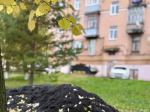 В Иванове продолжается реализация проектов программы «Местные инициативы».